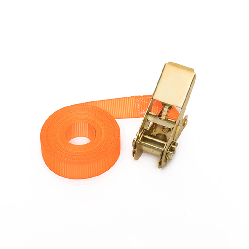 1 pollice 25mm*500 kg/800 kg Cingcio a cricchetto senza fine