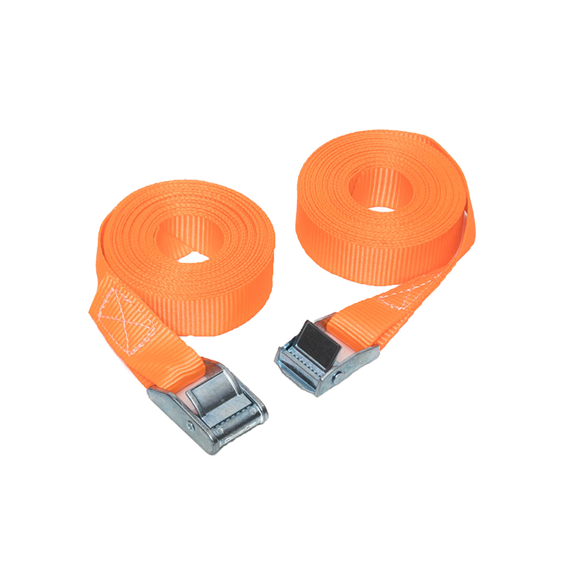 Cravatta fibbia da 25 mm da 250 kg