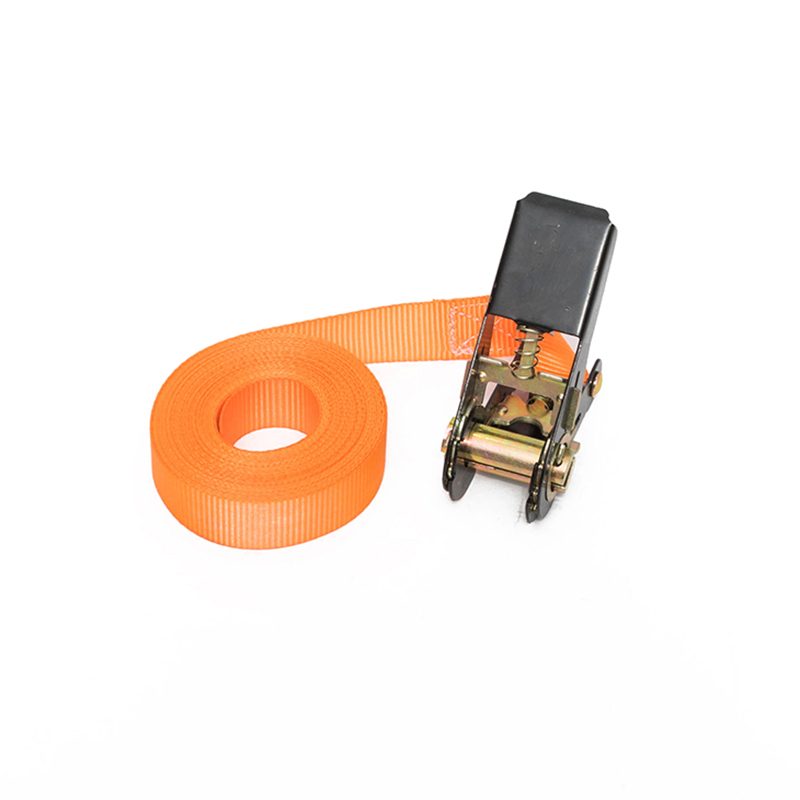 1 pollice 25mm*500 kg/800 kg Cingcio a cricchetto senza fine