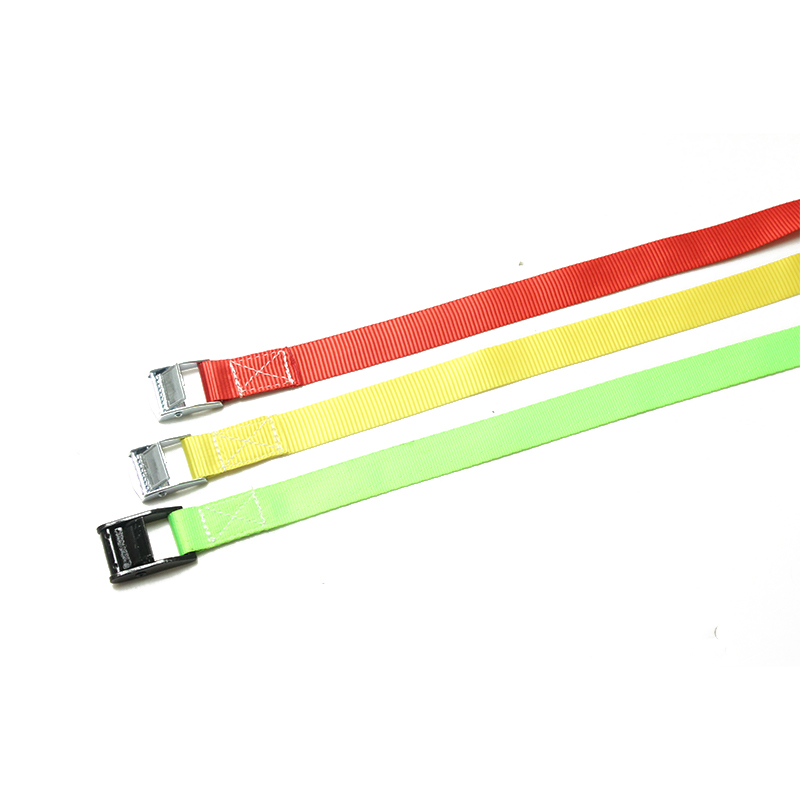 Cravatta fibbia da 25 mm da 250 kg