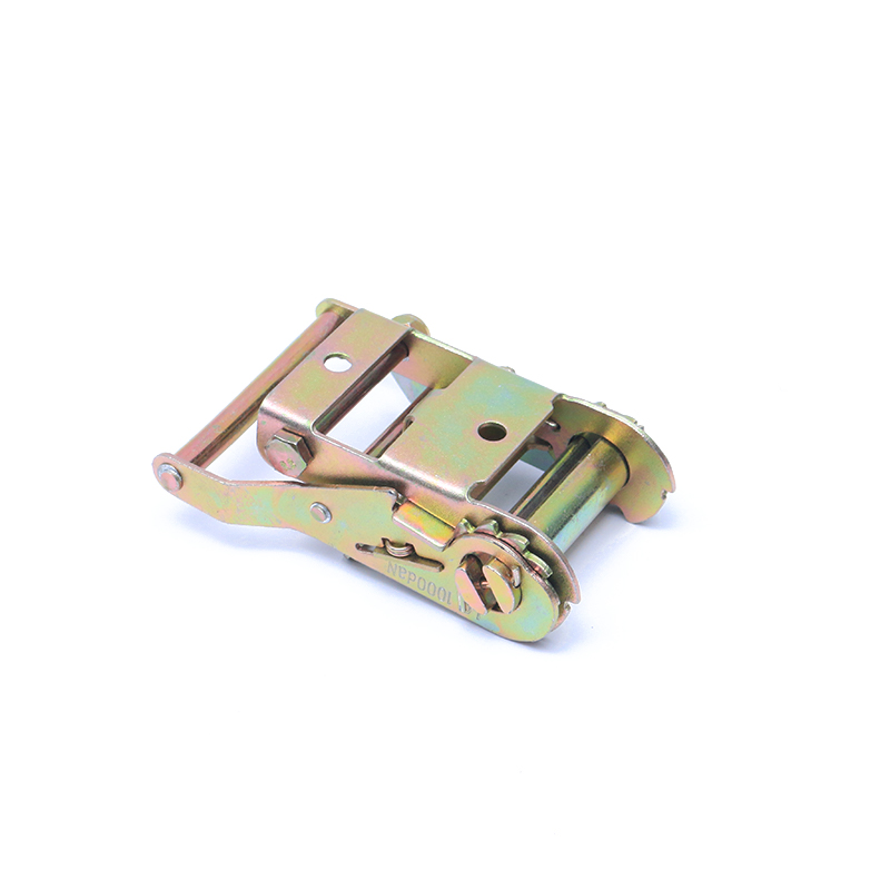 Cinghia da 2 pollici da 50 mm*2t con camion a crook a cricchetto e cnocchiano di caricamento di caricamento